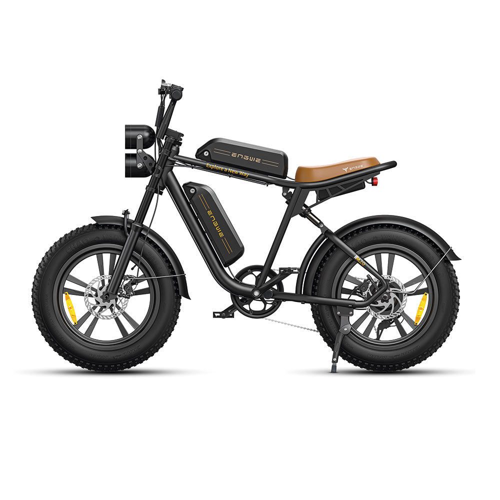 ENGWE M20 (single/dual battery)