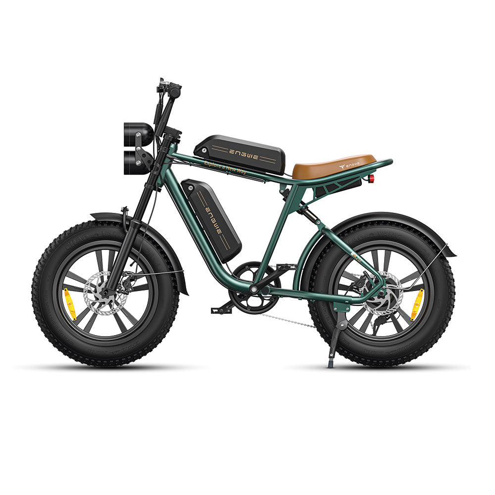 ENGWE M20 (single/dual battery)