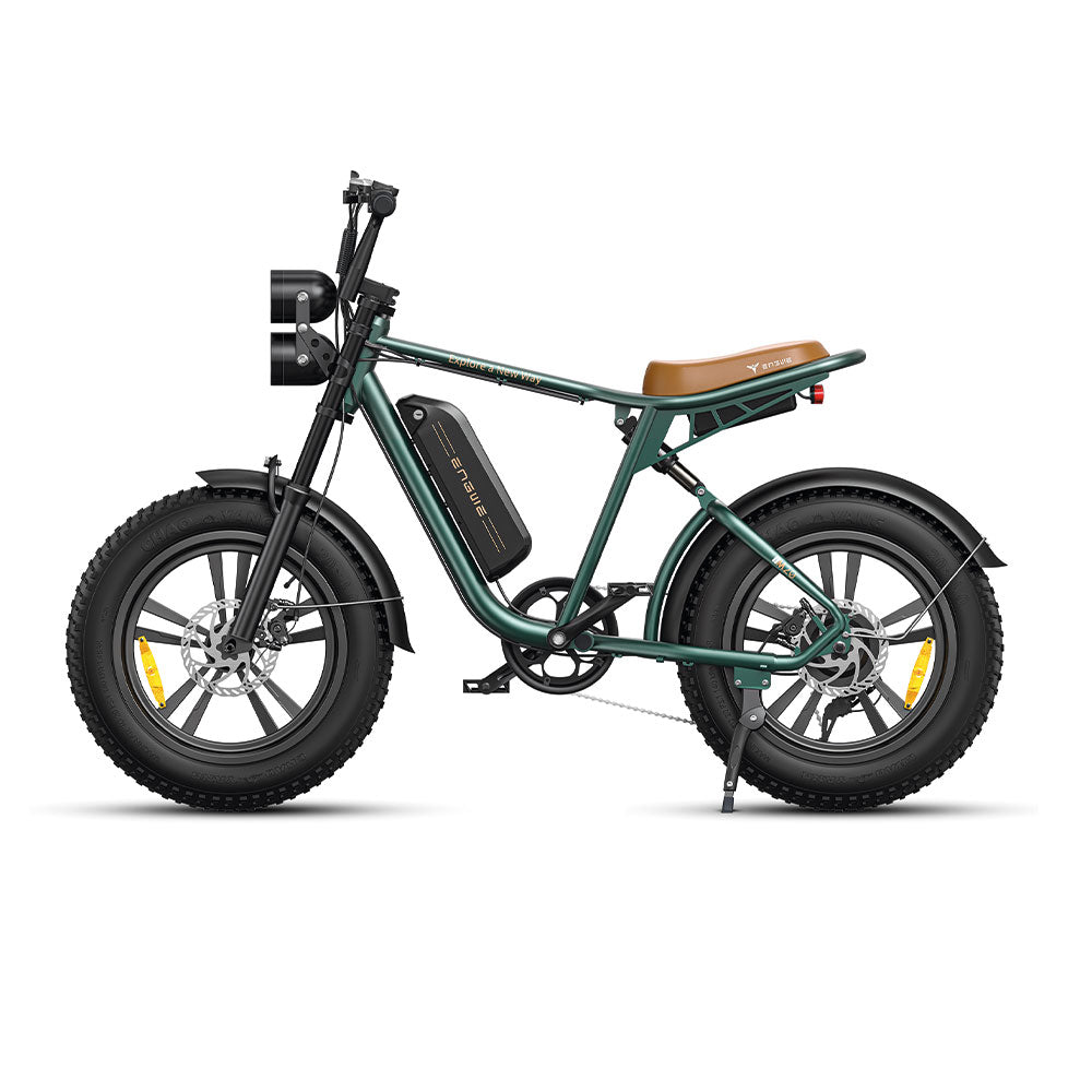 ENGWE M20 (single/dual battery)