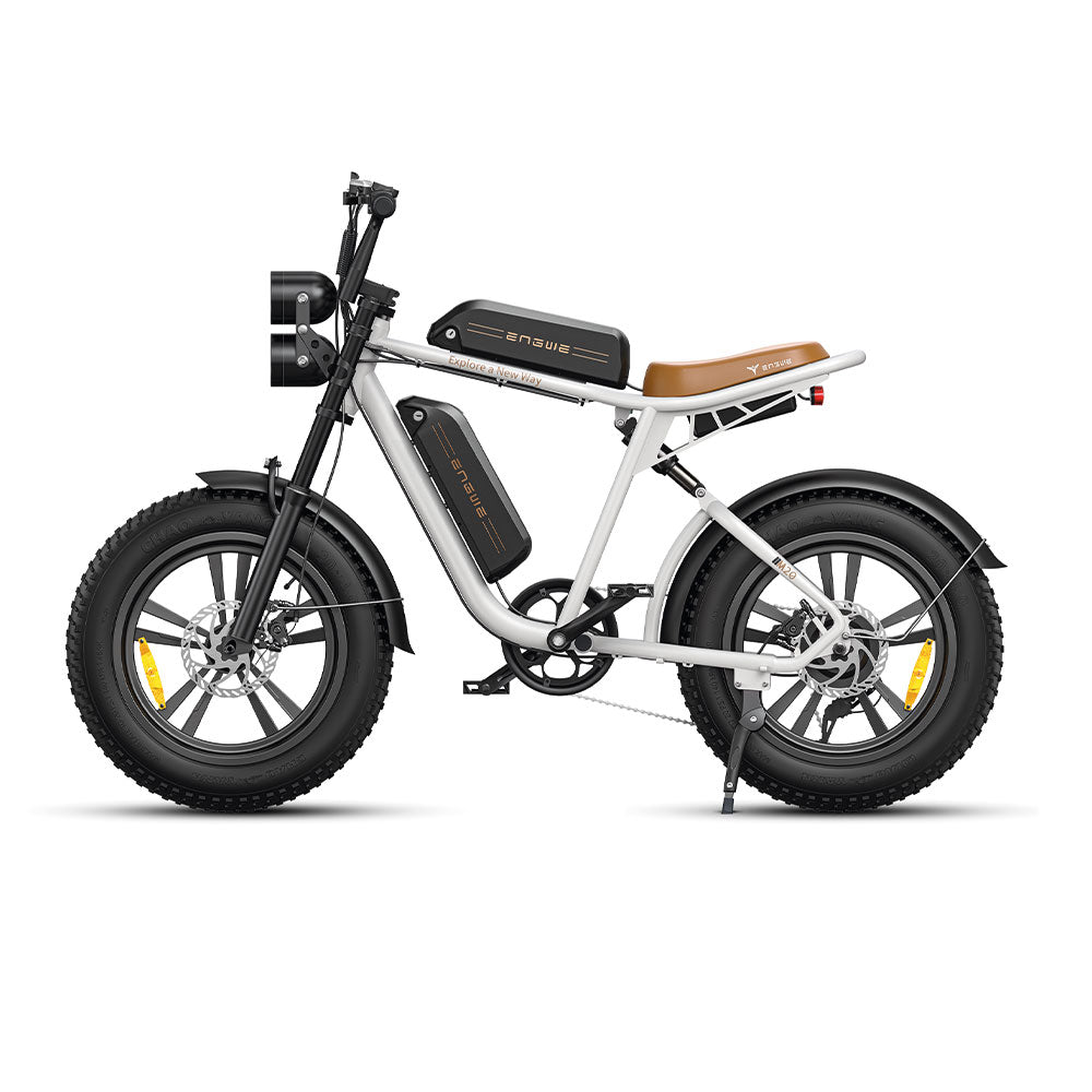 ENGWE M20 (single/dual battery)